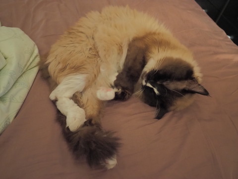 P5171043.jpg